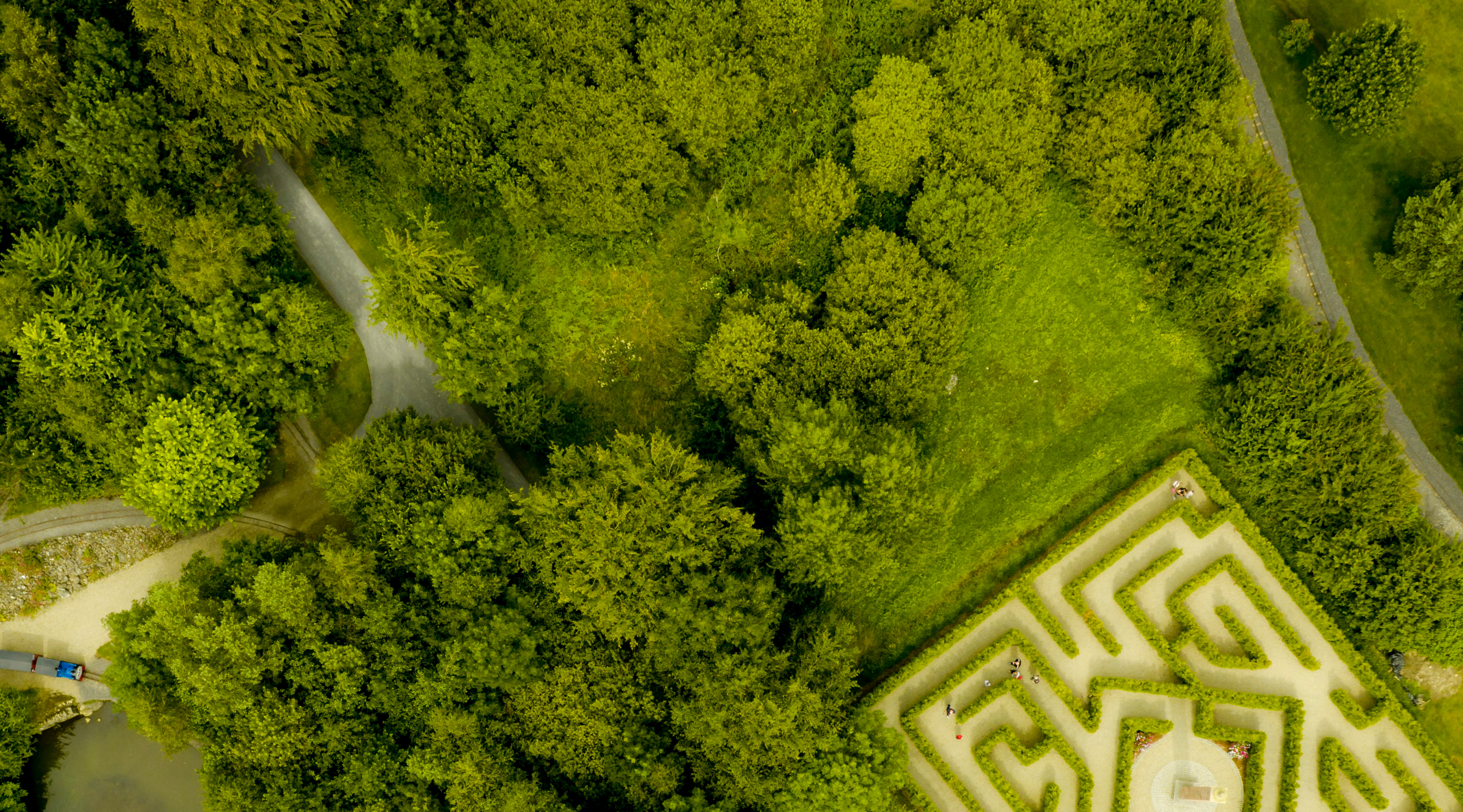 A Maze, Oakfield Park