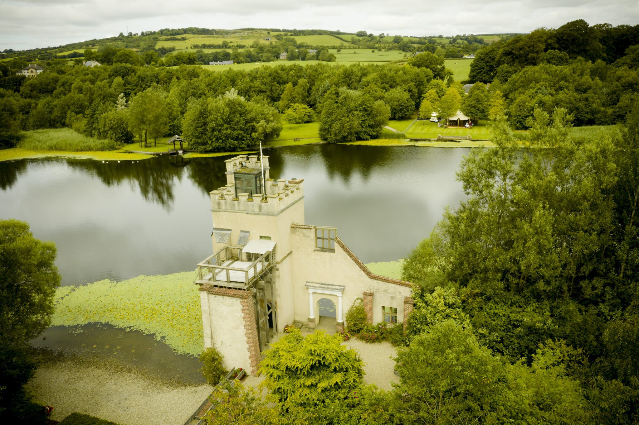 Oakfield Park Top Four Ways To Help Pollinators Oakfield Park