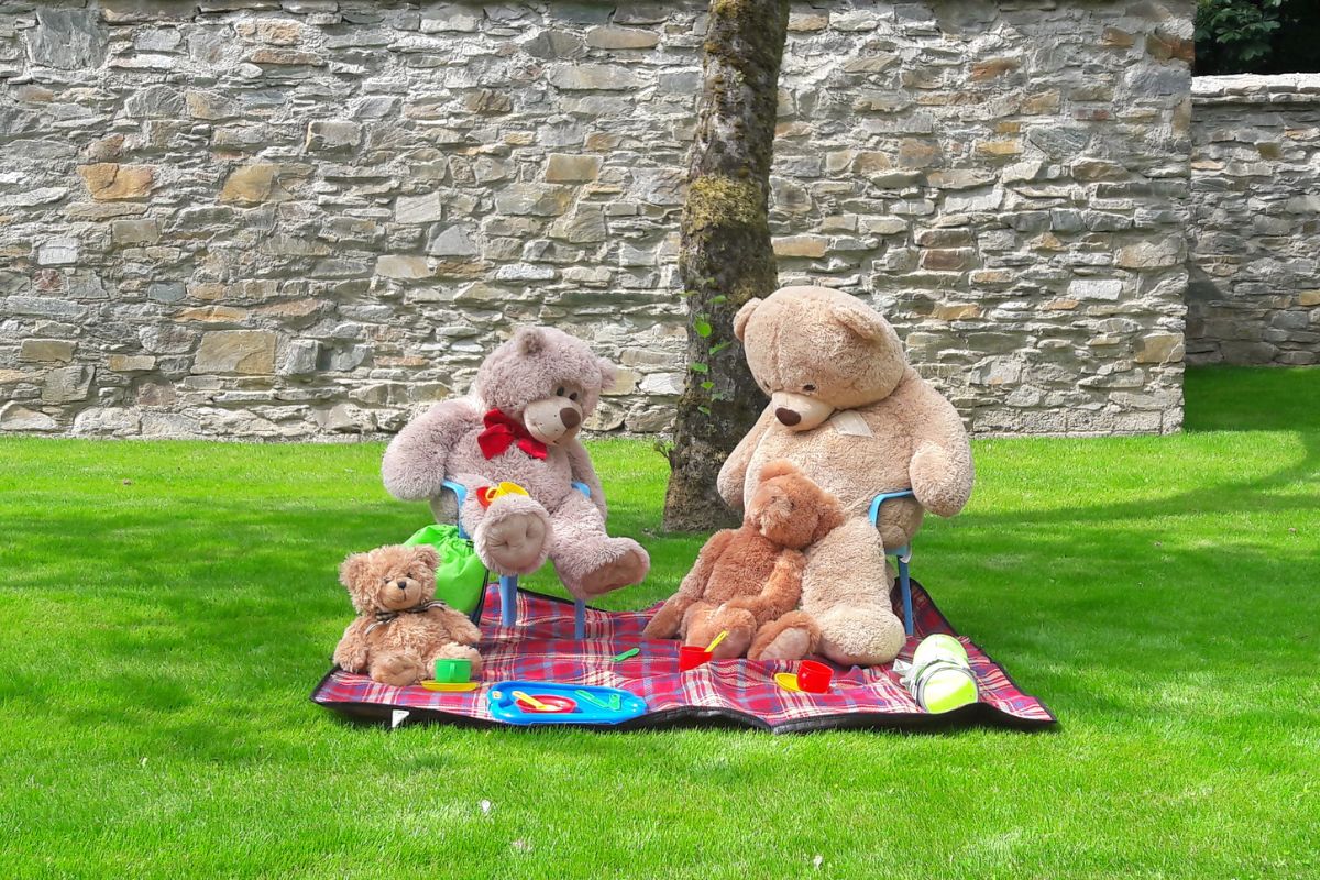 Teddy Bears&#8217; Picnic, Oakfield Park