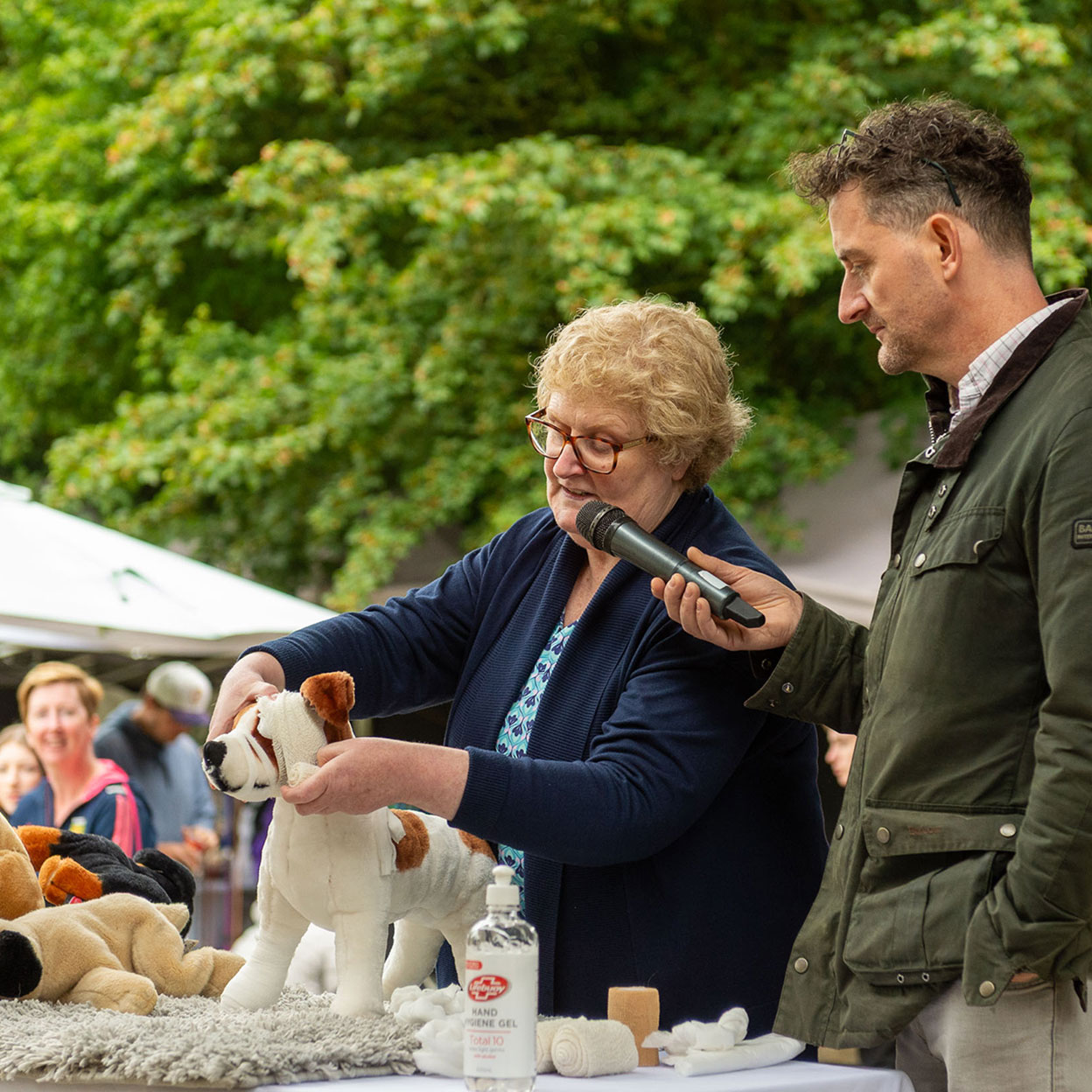 Oakfield Bark Dog Show at Oakfield Park 2025 demonstrations