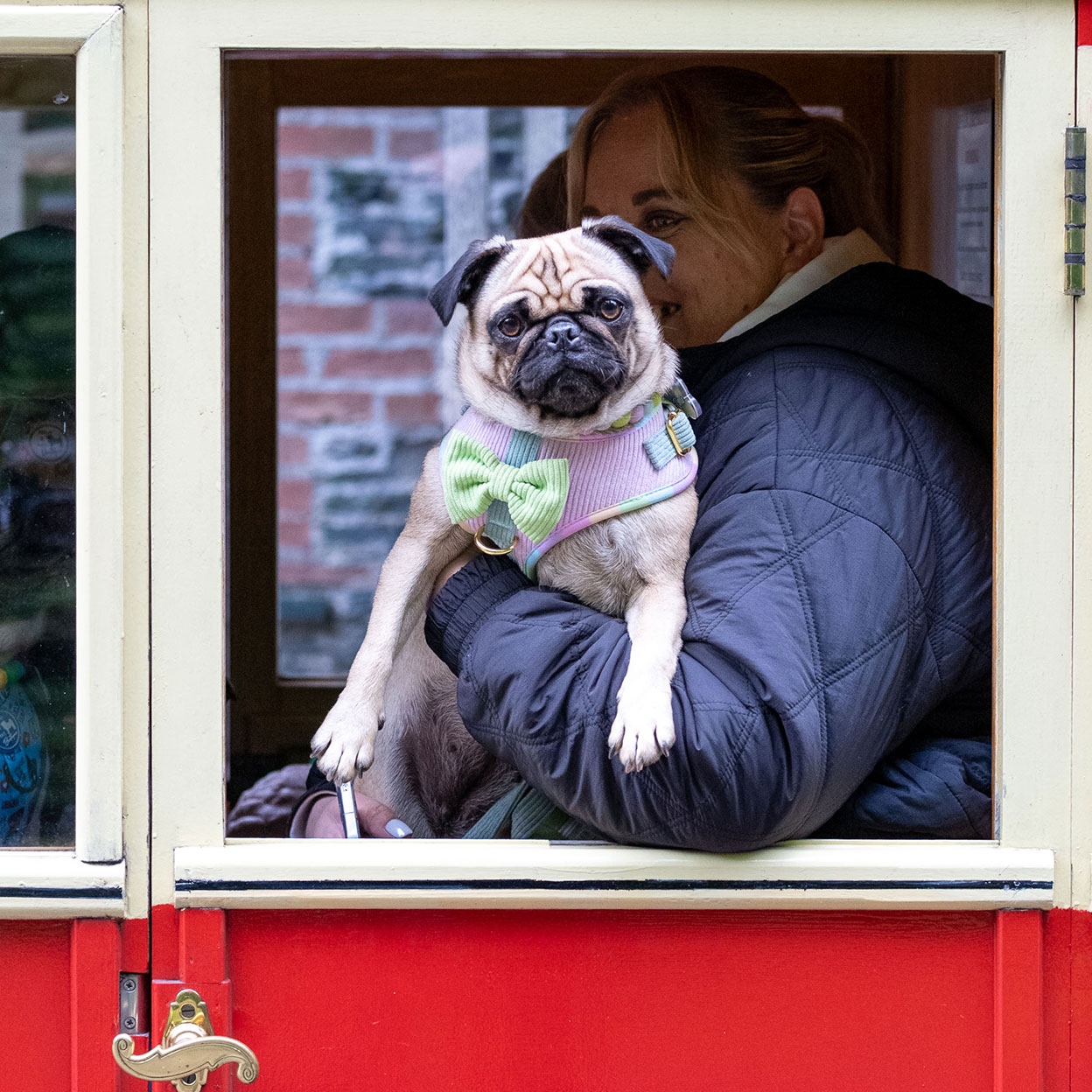 Photo of dog and owner on a train at the Oakfield Bark Dog Show, at Oakfield Park in Donegal