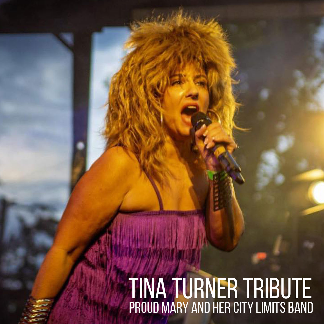 A photo of the Tina Turner Tribute act who are performing at Oakfest 2026.